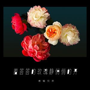 男欢女爱武则天免费观看电视剧
